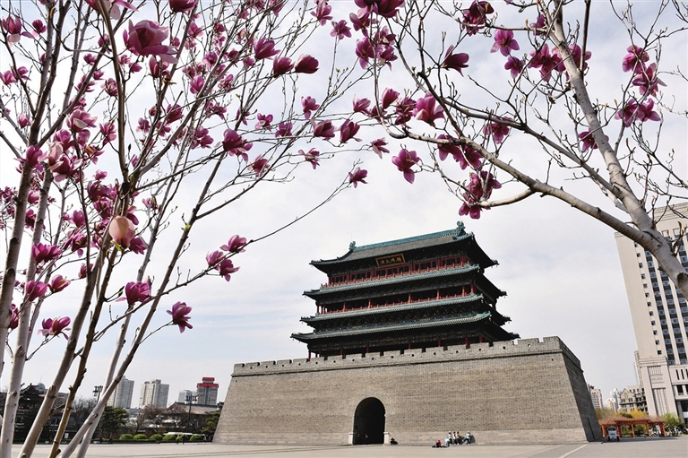 <a href="http://4g.tynews.com.cn/system/2026/04/03/031005101.shtml" >玉兰花绽放</a>